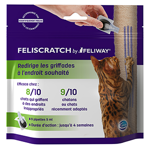 Feliscratch